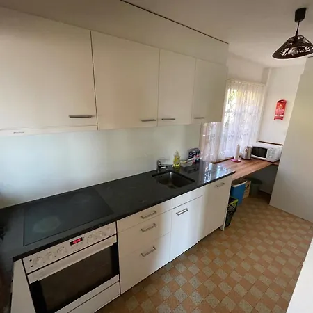 Sonnige Matte Appartement-fewo- Dusche Oder Bad- Wc 8-bettwohnung By Interhome Saanen